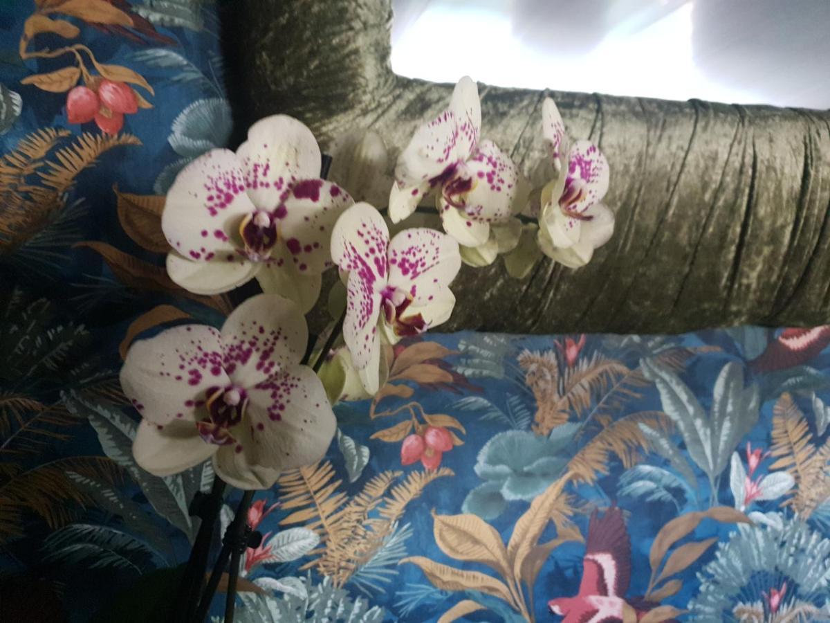 Jasmine Coral Jay Boutique Boatel Ocean Village Gibraltar Exterior foto