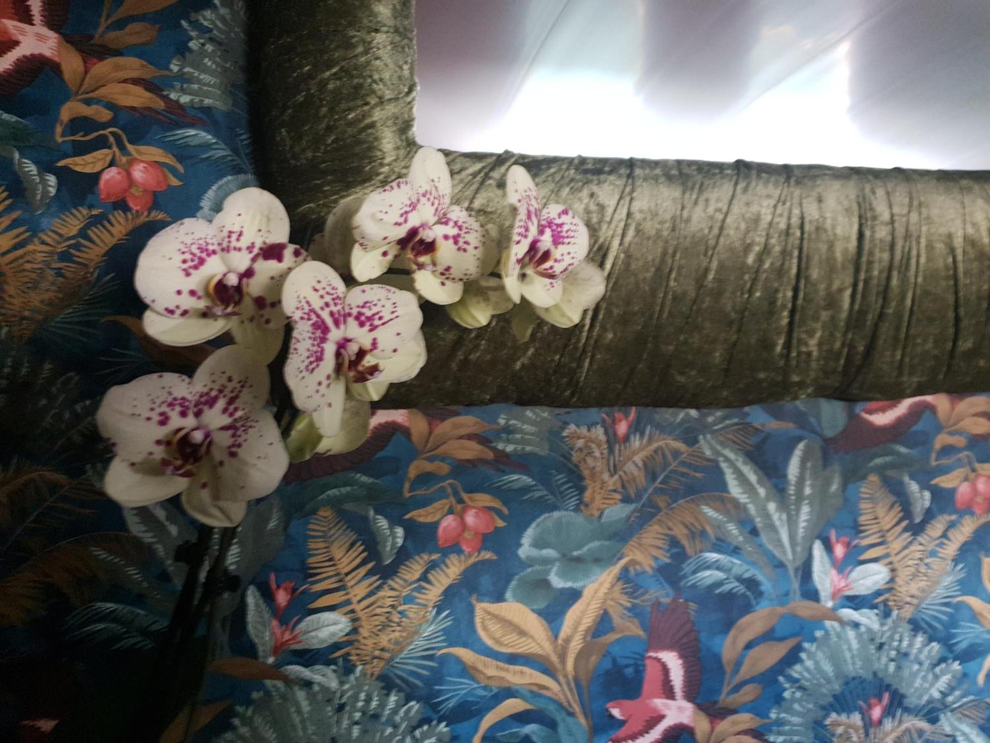 Jasmine Coral Jay Boutique Boatel Ocean Village Gibraltar Quarto foto